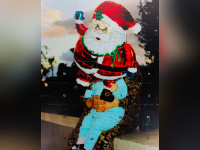 Le calendrier de l'Avent 2021 de La Maison Plisson signé Martin Parr