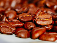 Le salon Paris Coffee Show 2022 au Parc Floral