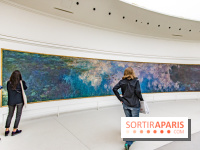 Les Nymphéas et artistes abstraits au Musée de l'Orangerie
