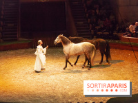 Nature, le spectacle équestre à Chantilly