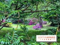 L'Arboretum de Versailles - Chevreloup