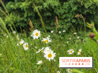 L'Arboretum de Versailles - Chevreloup
