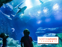 Loup préserve les océans à l'Aquarium de Paris, les photos