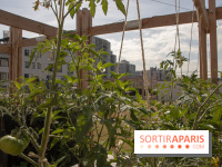 Sous les Fraises & So Ouest inaugurent la première ferme maraichère urbaine à Levallois-Perret : les photos