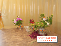 Le Centre ne peut tenir au Lafayette Anticipations