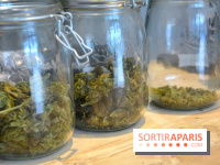 Le Lab du bonheur à Paris, un Coffee Shop CBD bien-être 