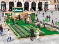 Le Champ de plantes by Ricola à Saint Lazare 