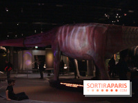 Dinosaure, la vie en grand au Muséum