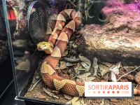 Poison au Palais de la Découverte, les photos 