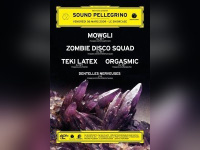 Soirée, Clubbing, Paris, Teki Latex, Orgasmis, Mowgli, Electrochic, Sound Pellegrino, Sous le Pont, Pont Alexandre 3, Showcase