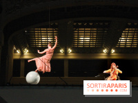 Week-end cirque au Musée d'orsay