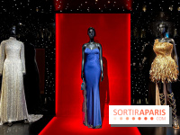 JO de Paris 2024 : les tenues de scène de Lady Gaga, Aya Nakamura et Céline Dion exposées chez Dior