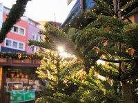 Marché de Noël Pontoise