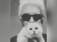 Exposition Karl Lagerfeld Sotheby's