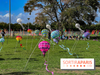 Festival de l'Air 2025 à Montesson (78) : montgolfière, cerfs-volants et concert gratuit en octobre