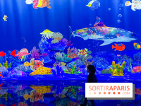 Comme Un Poisson Dans L'Eau, la prochaine exposition 100% bien-être du Bon Marché Rive Gauche