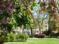 Festival "Jardins du monde en mouvement" à la Cité Universitaire