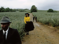"En Mode", l'exposition de photos de mode stylées au Studio Harcourt