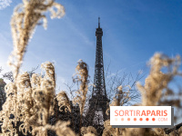 visuel Paris visuel