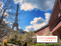 Visuel Paris, tour eiffel - Musée du Quai Branly