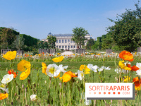 Visuel jardin des plantes Paris