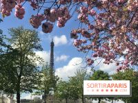 Visuel Paris, Tour Eiffel printemps