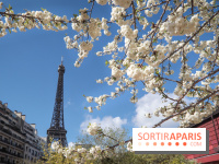 Visuel Paris, Tour Eiffel printemps