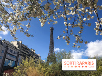Visuel Paris, Tour Eiffel printemps