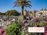 Visuel Paris jardin du luxembourg