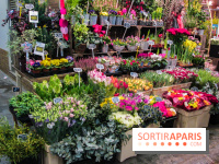 Visuel Paris marché d'Aligre fleurs