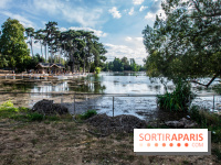 Visuel Paris Bois de Boulogne