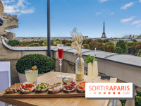 Visuel Paris Tour Eiffel rooftop Crillon