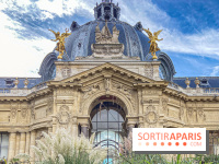 Visuel Paris Petit Palais