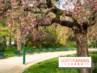 Visuel Paris arbres en fleurs, jardins, parc