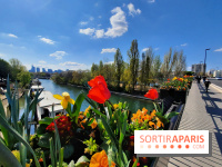 Visuel Paris - île de la Jatte - La Seine