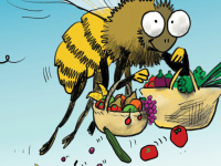 APIdays 2019 - La fête des abeilles a 10 ans