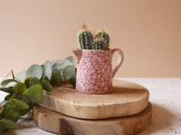 The Blond Cactus, quand le cactus passe en mode vintage