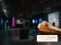 Exposition Lune au Grand Palais, nos photos 