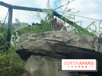 Parc Zoologique de Paris 2019