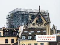Notre Dame de Paris, les photos des dégâts