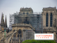 Notre Dame de Paris, les photos des dégâts