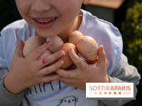 Chasse aux oeufs de Pâques sur le rooftop de la Tour Montparnasse : nos photos