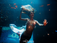 Halloween à l’Aquarium Club : une nuit de frissons avec le Show des sirènes