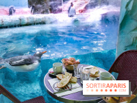 Les petits déjeuners avec les manchots de l'aquarium Sea Life