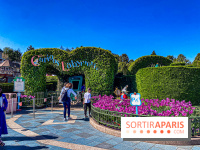 Visuels Disneyland Paris - Alice's Curious Labyrinth