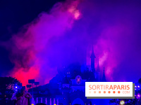 Visuels Disneyland Paris - château