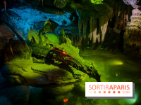 Visuels Disneyland Paris - dragon