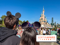 Visuels Disneyland Paris - Saint Valentin