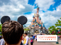 Visuels Disneyland Paris château