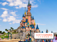 Visuels Disneyland Paris château